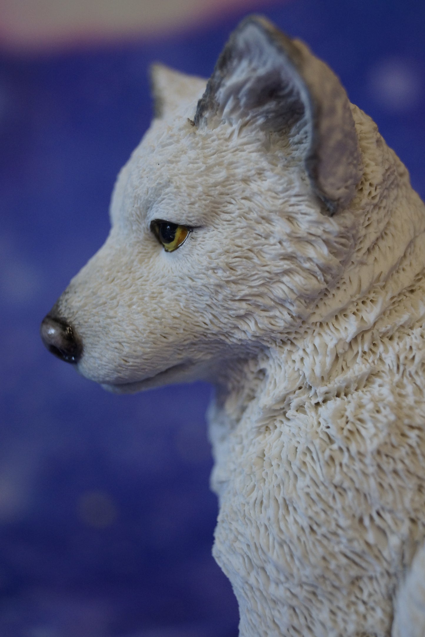 Polarwolf Welpe sitzend