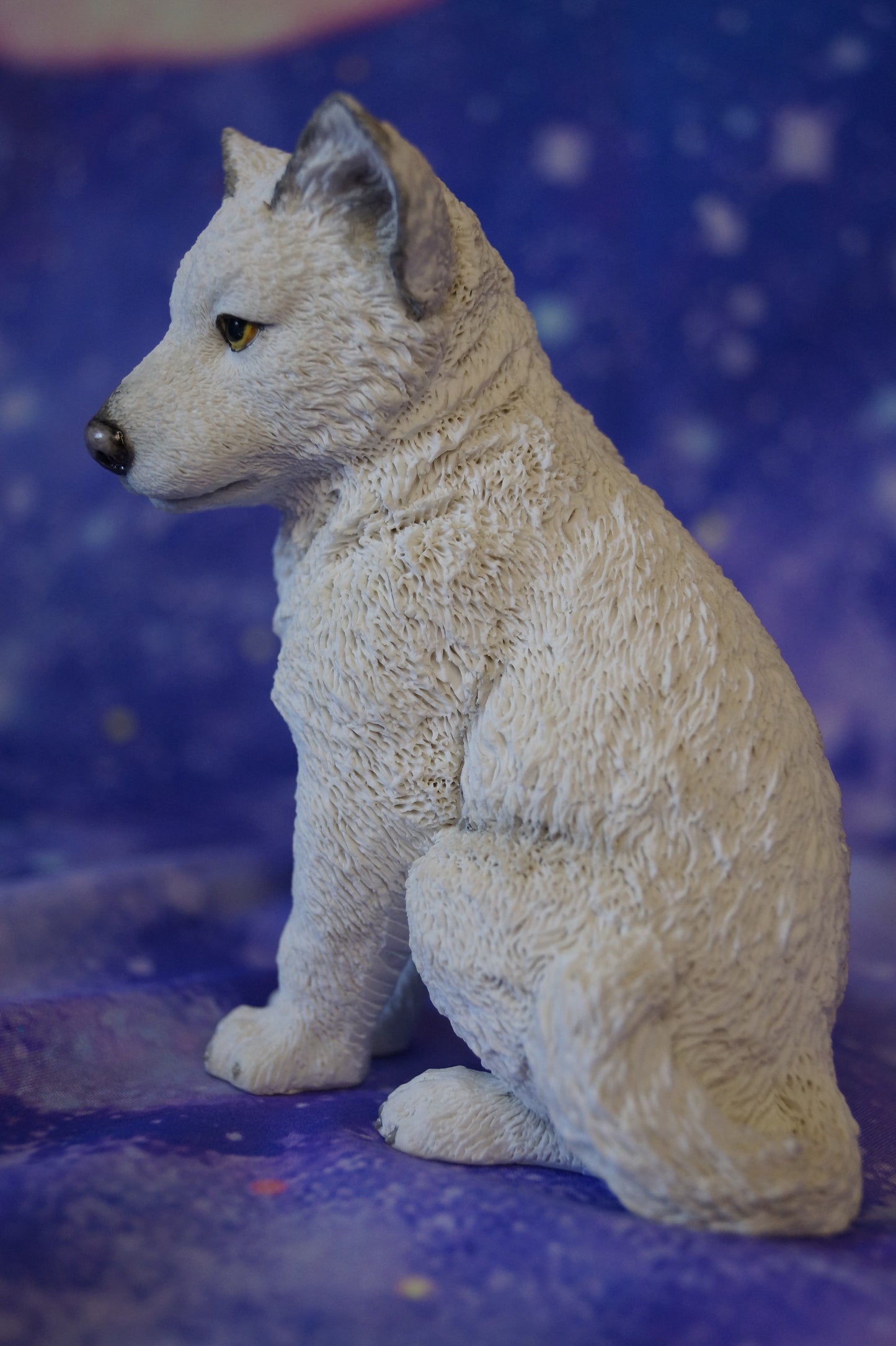 Polarwolf Welpe sitzend