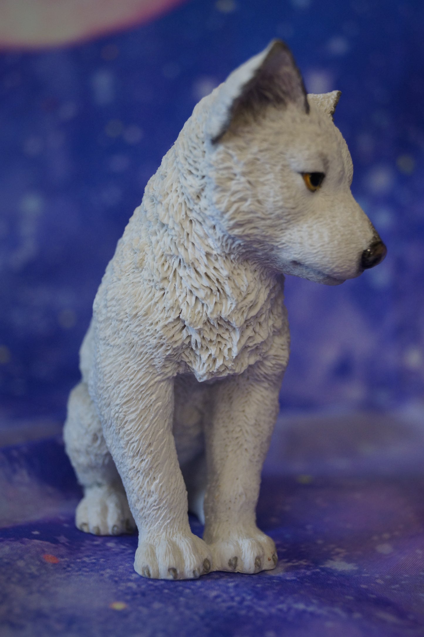 Polarwolf Welpe sitzend