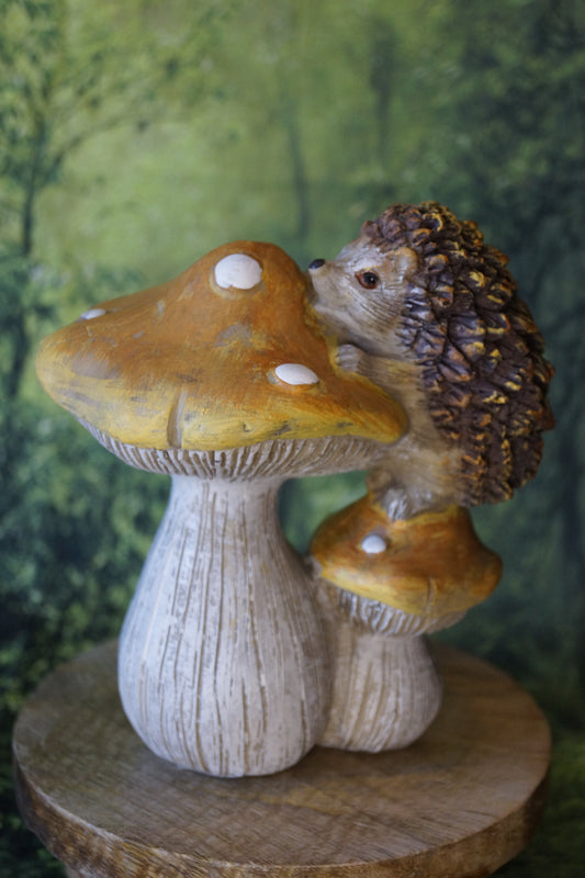 Igel auf Pilzen