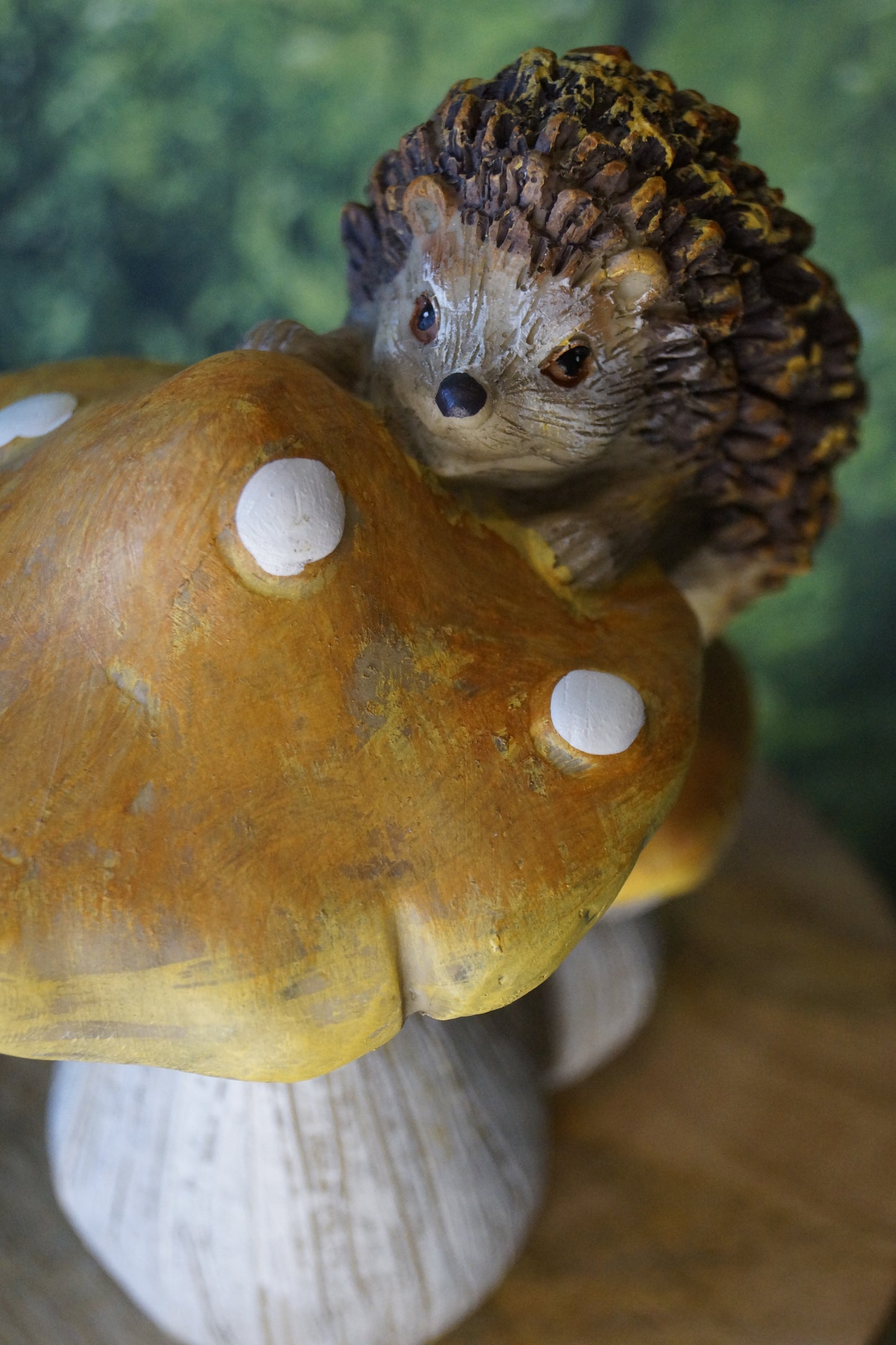 Igel auf Pilzen