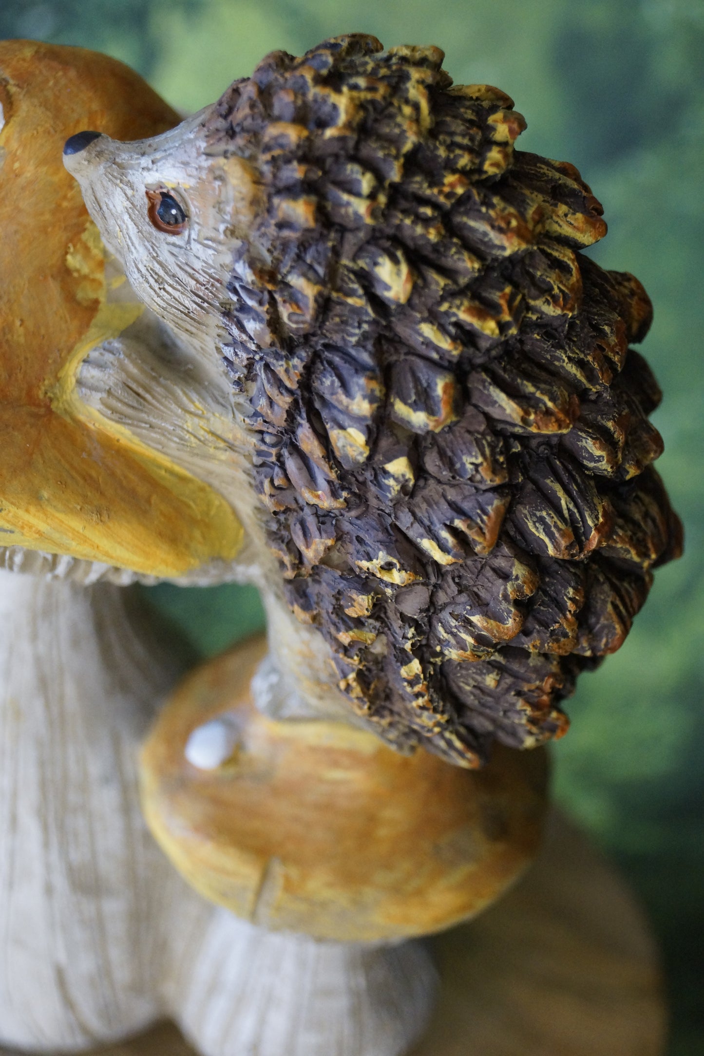 Igel auf Pilzen