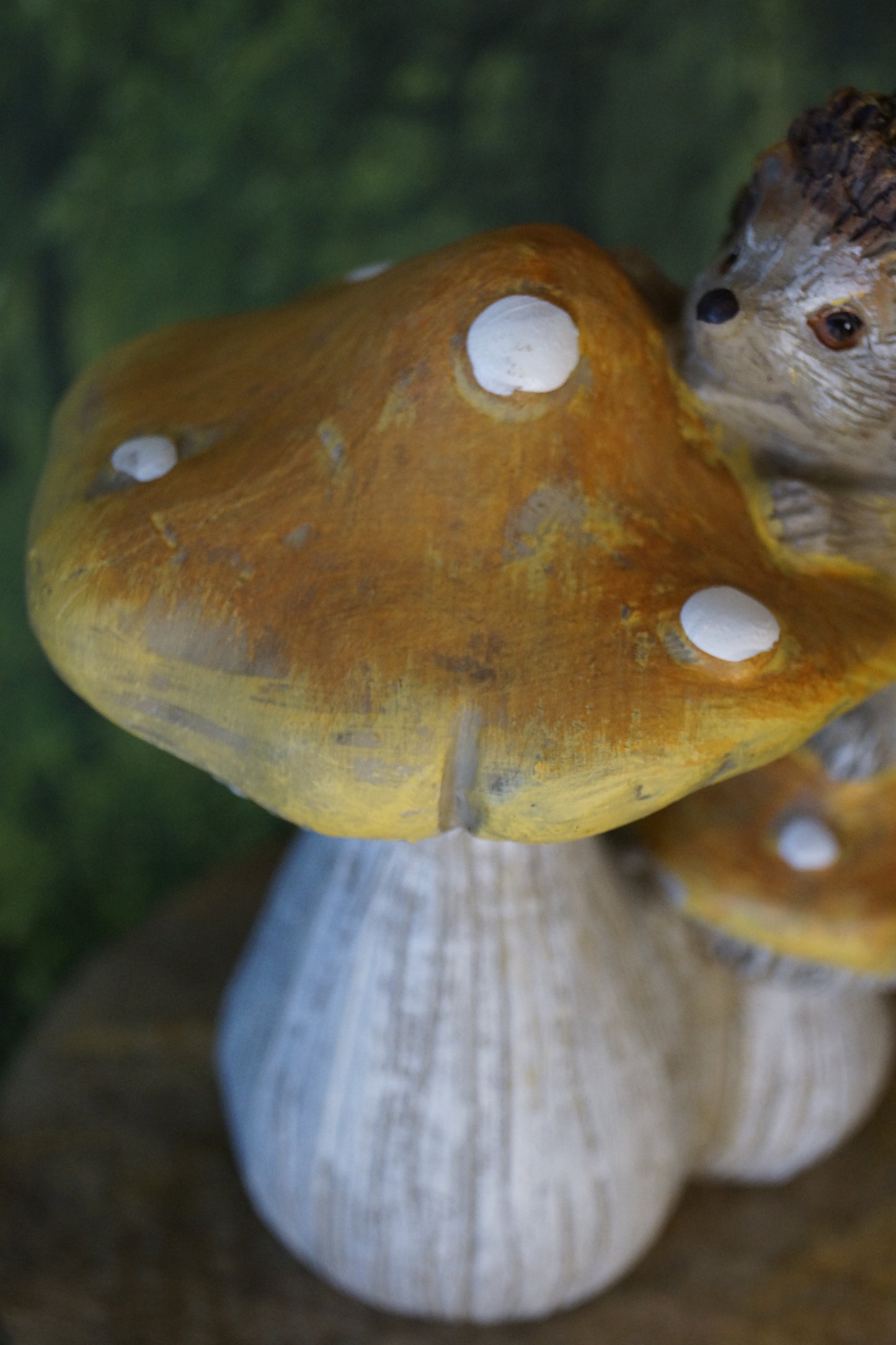 Igel auf Pilzen
