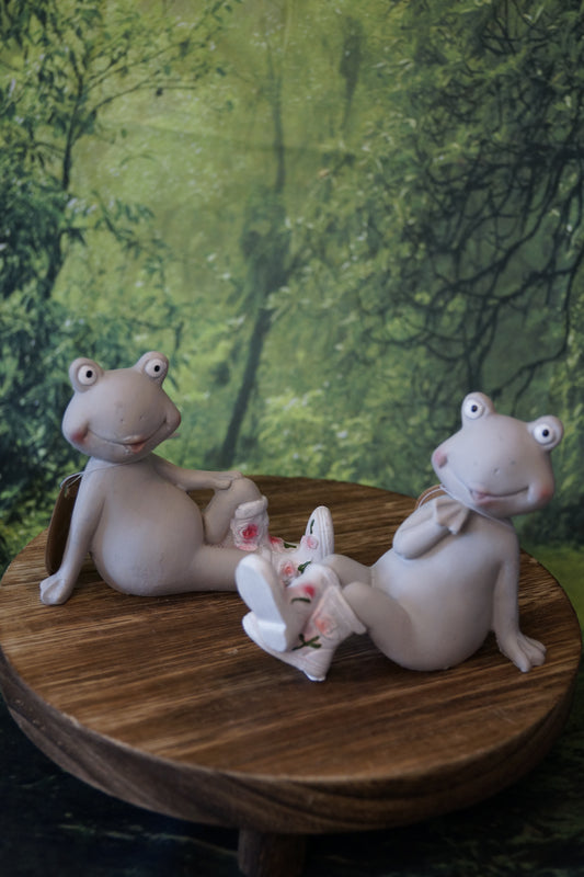 Frosch mit Gummistiefel