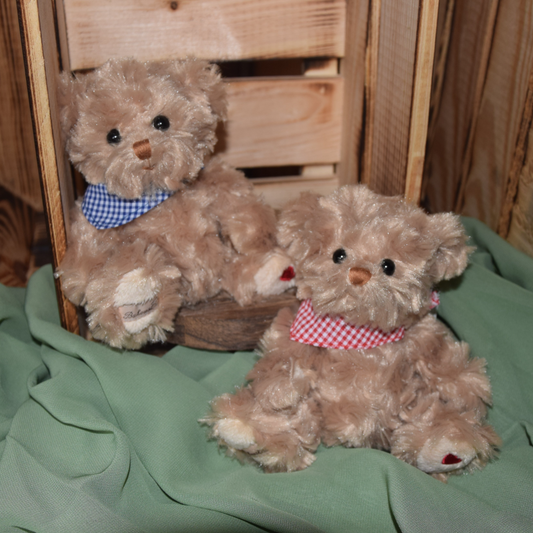Bukowski Teddy "Herman"