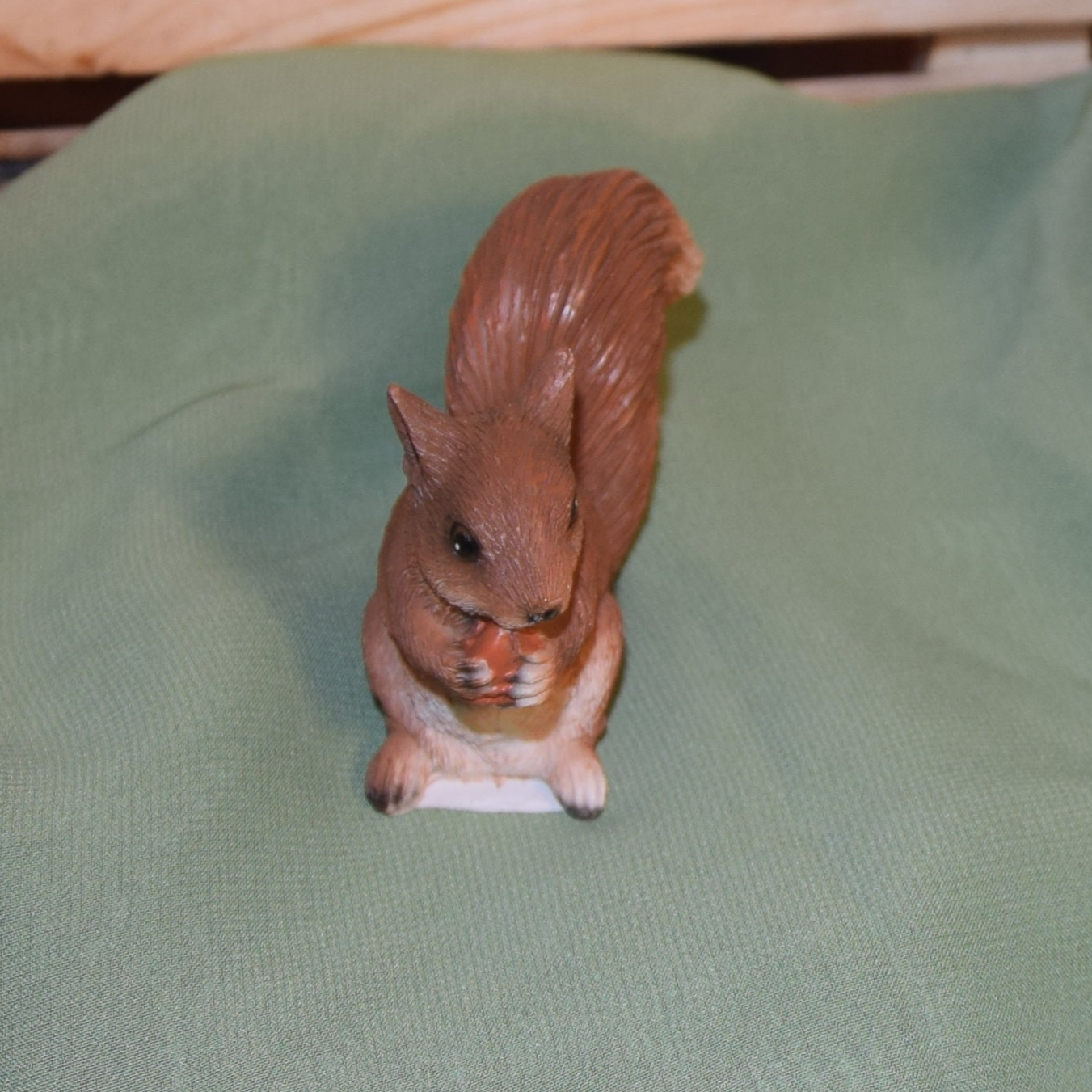 Eichhörnchen