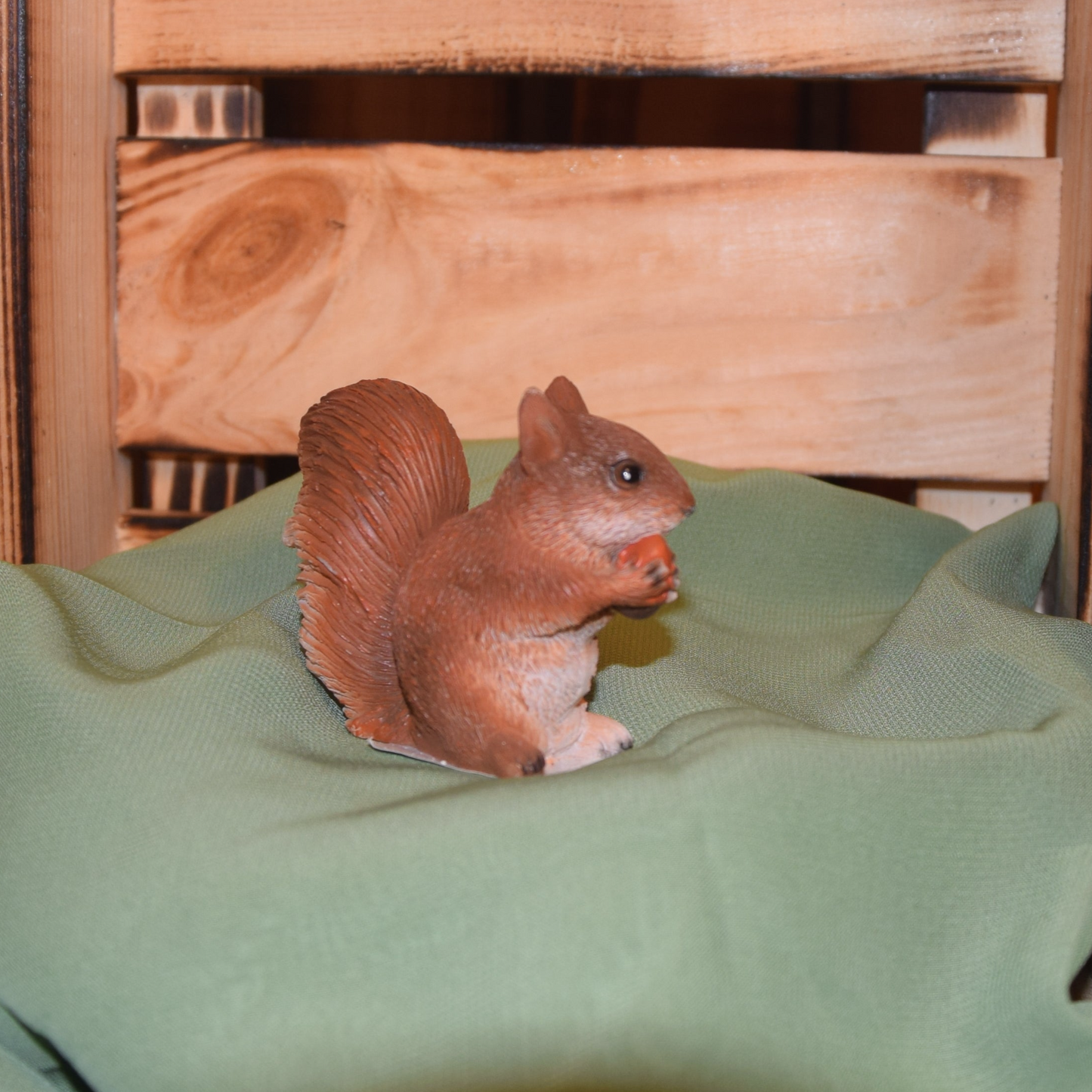 Eichhörnchen