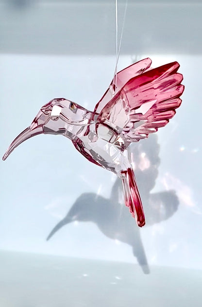 Acryl- Sonnenfänger Kolibri