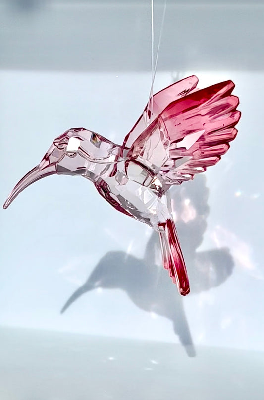 Acryl- Sonnenfänger Kolibri