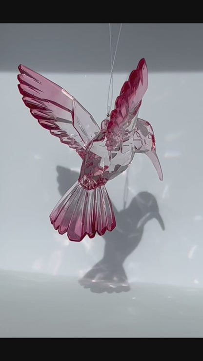 Acryl- Sonnenfänger Kolibri